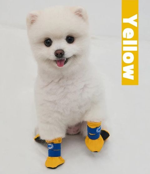 yellow shoe