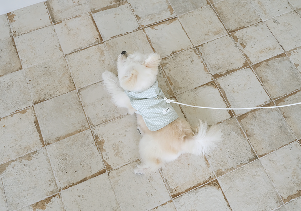 Duraron Cool Harness Poncho (Green) 3