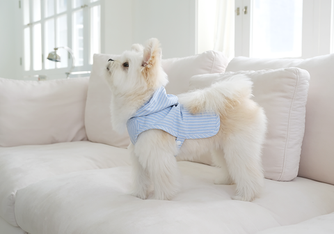 Duraron Cool Harness Poncho (Blue) 2