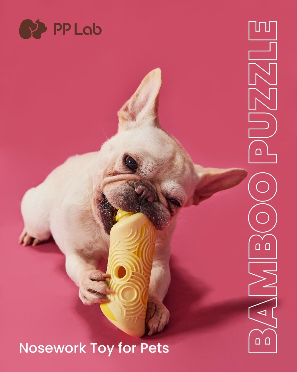 WhatsApp Image 2025-06-25 at 17.49.01 (1)