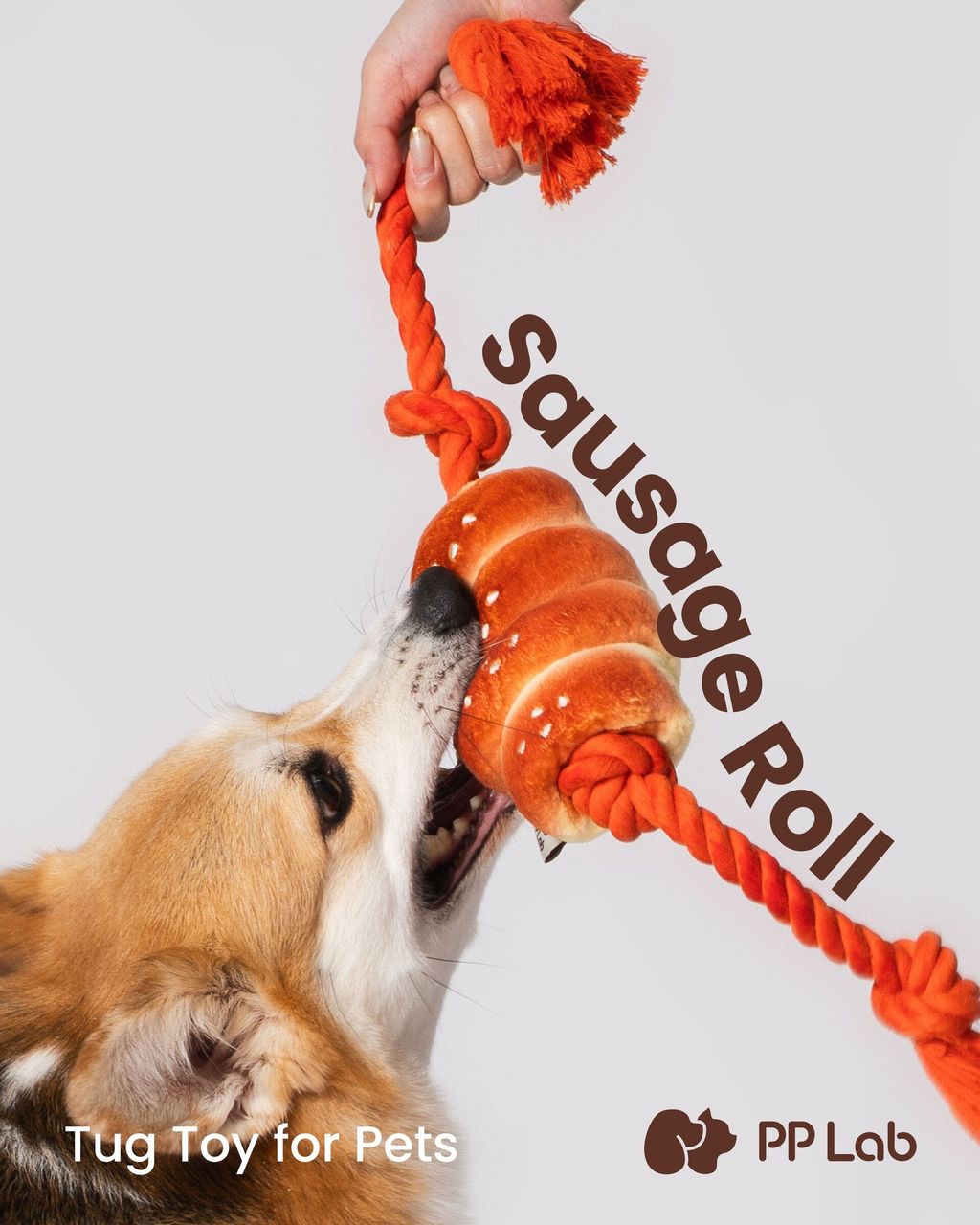 Image_20250514160557