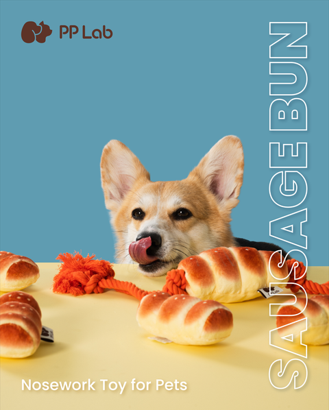 螢幕擷取畫面 2025-08-21 044454