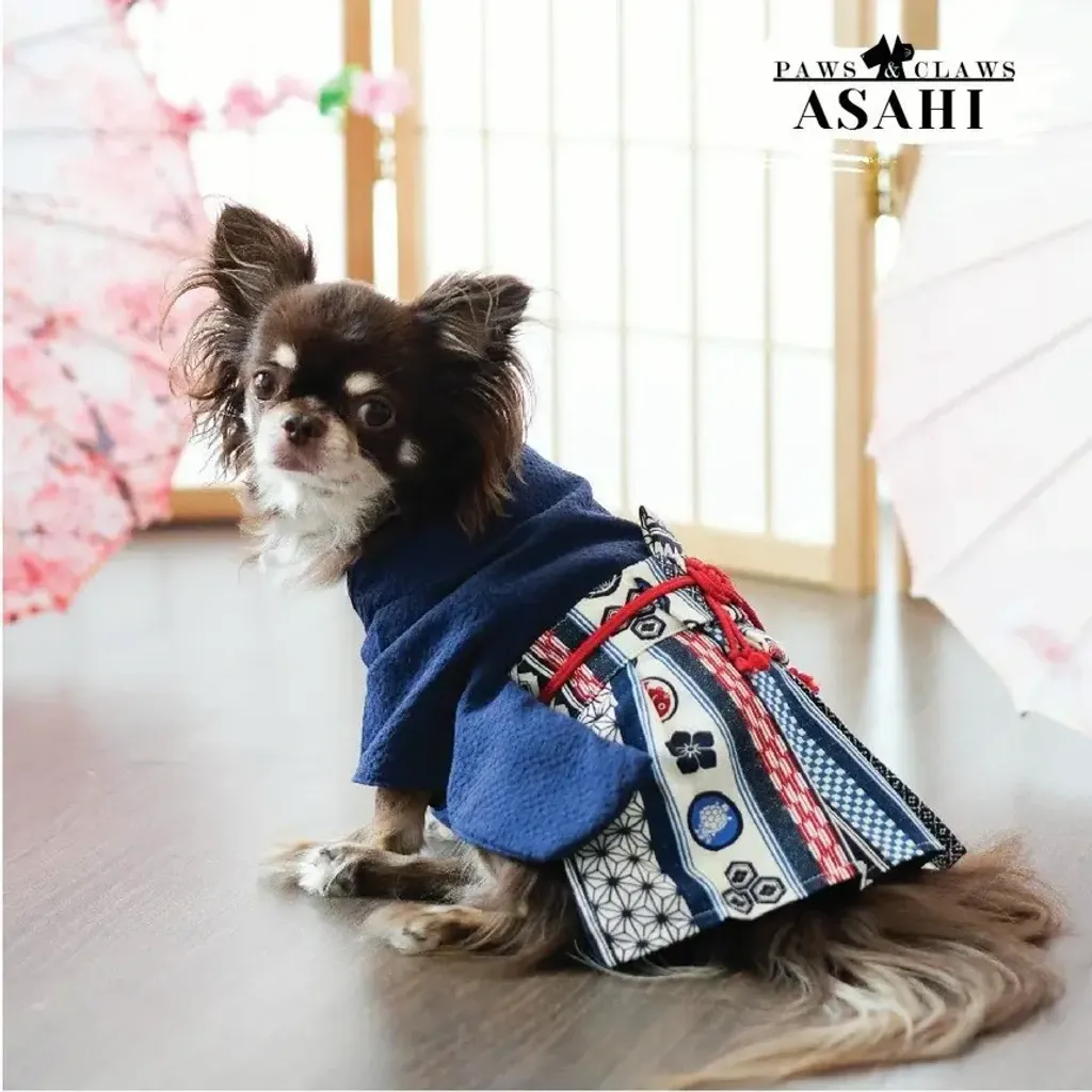 Asahi (Kimono) model