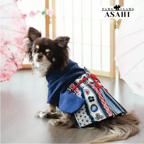 Asahi (Kimono) model