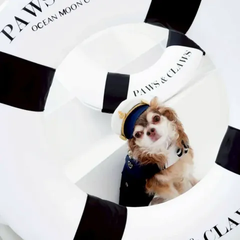 Captain John (cap) model