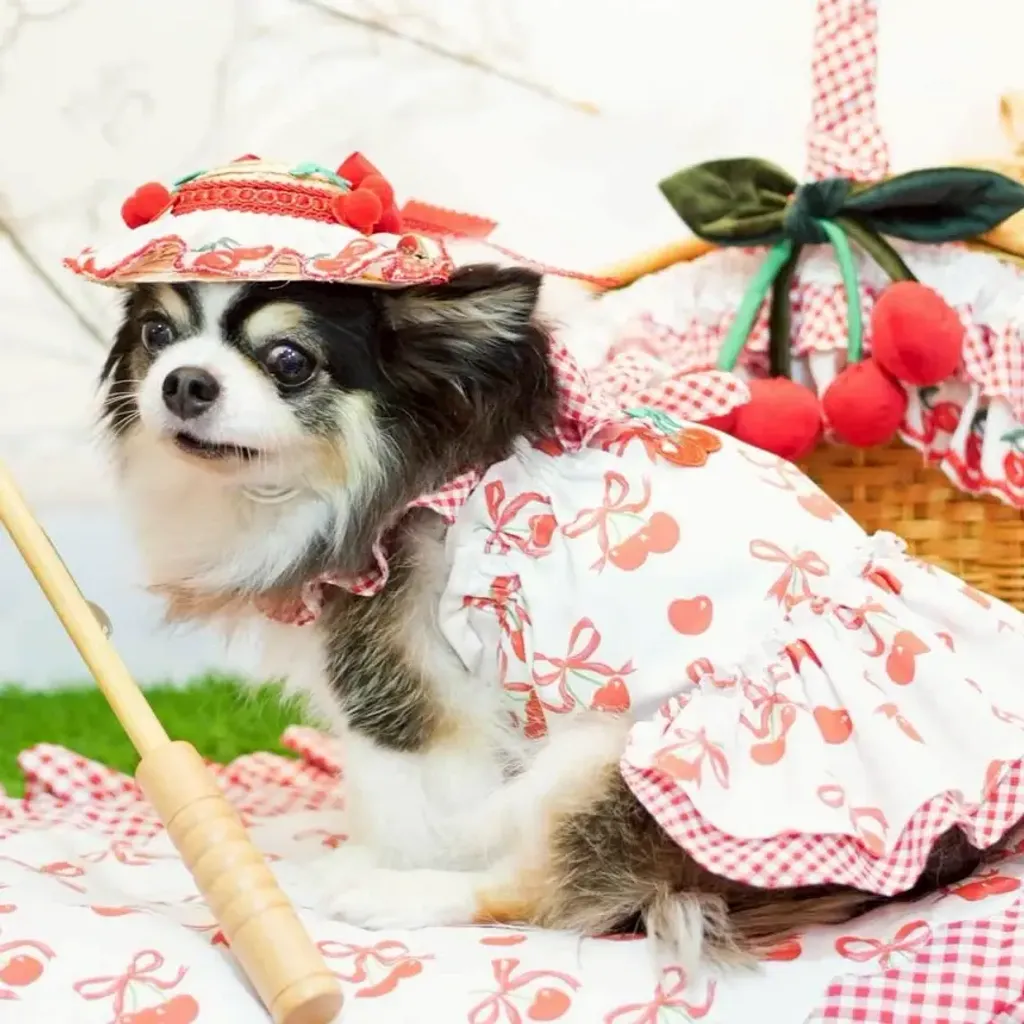 Cerise Sucree (dress) model