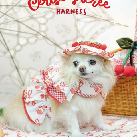 Cerise Sucree (harness) model