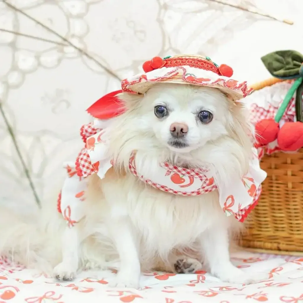 Cerise Sucree (hat) model