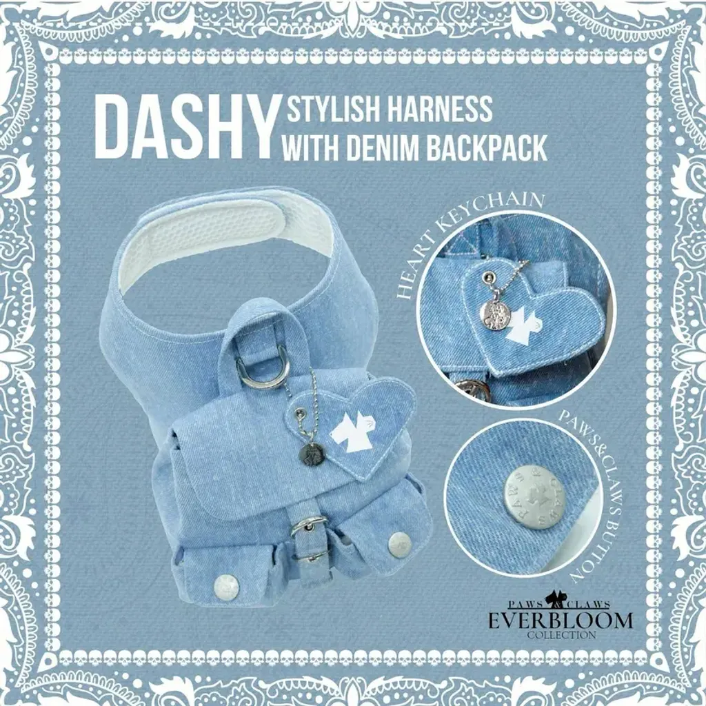 Dashy (harness)