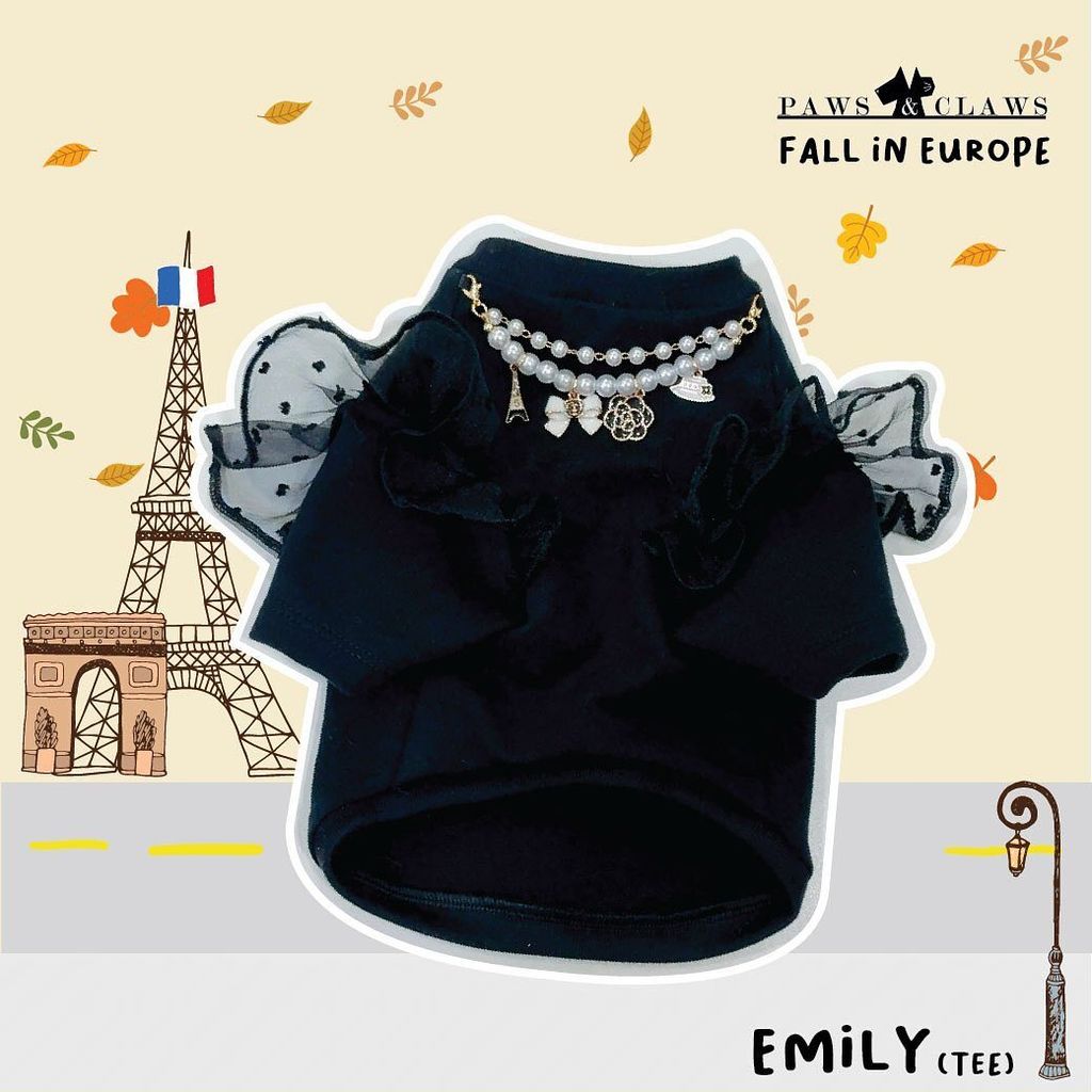 394294820_18397957255008157_206937102435363362_n