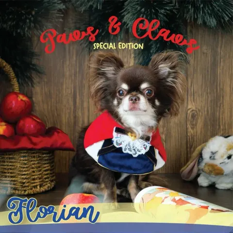 Florian (poncho) model