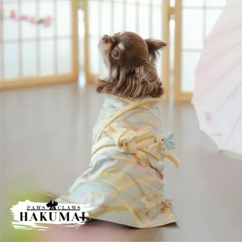 Hakumai (Harness) model