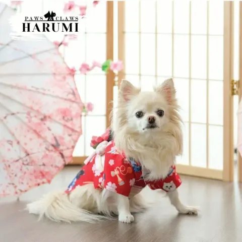 Harumi (Yukata) model