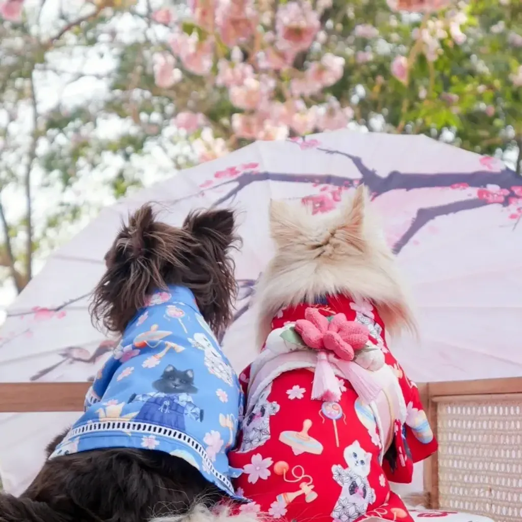 Harumi (Yukata) model 2