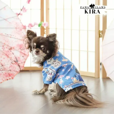 Kira (Yukata) model