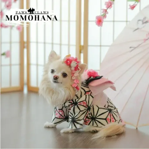 Momohana (Kimono) model