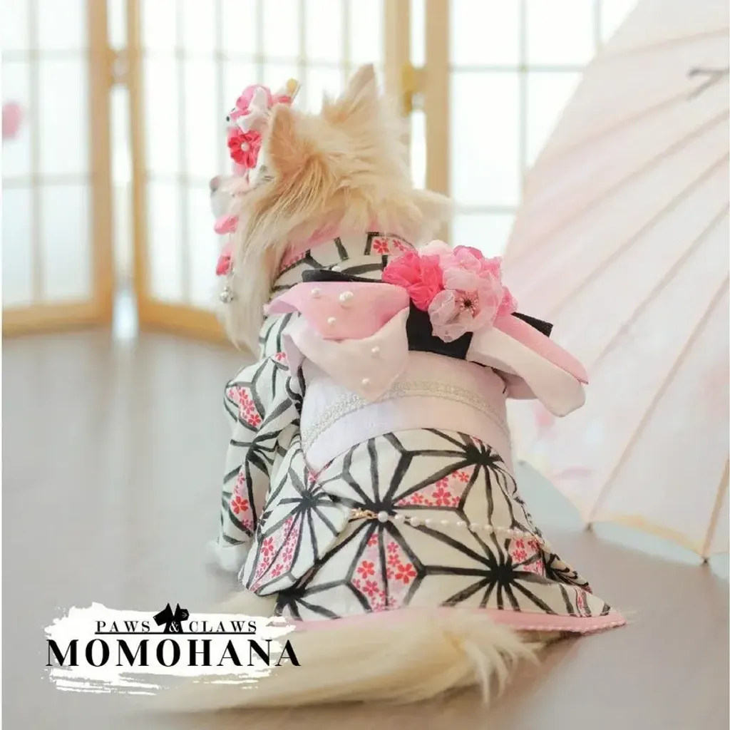 Momohana (Kimono) model 2