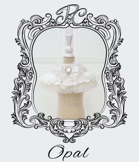 Screenshot 2024-11-25 at 10.36.24 PM