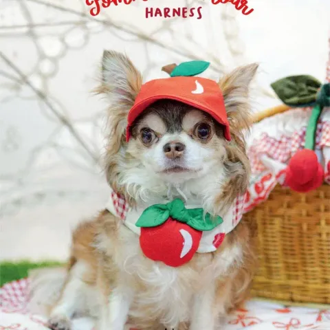 Pomme d'amour (cap) model