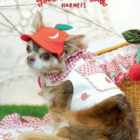 Pomme d'amour (harness) model