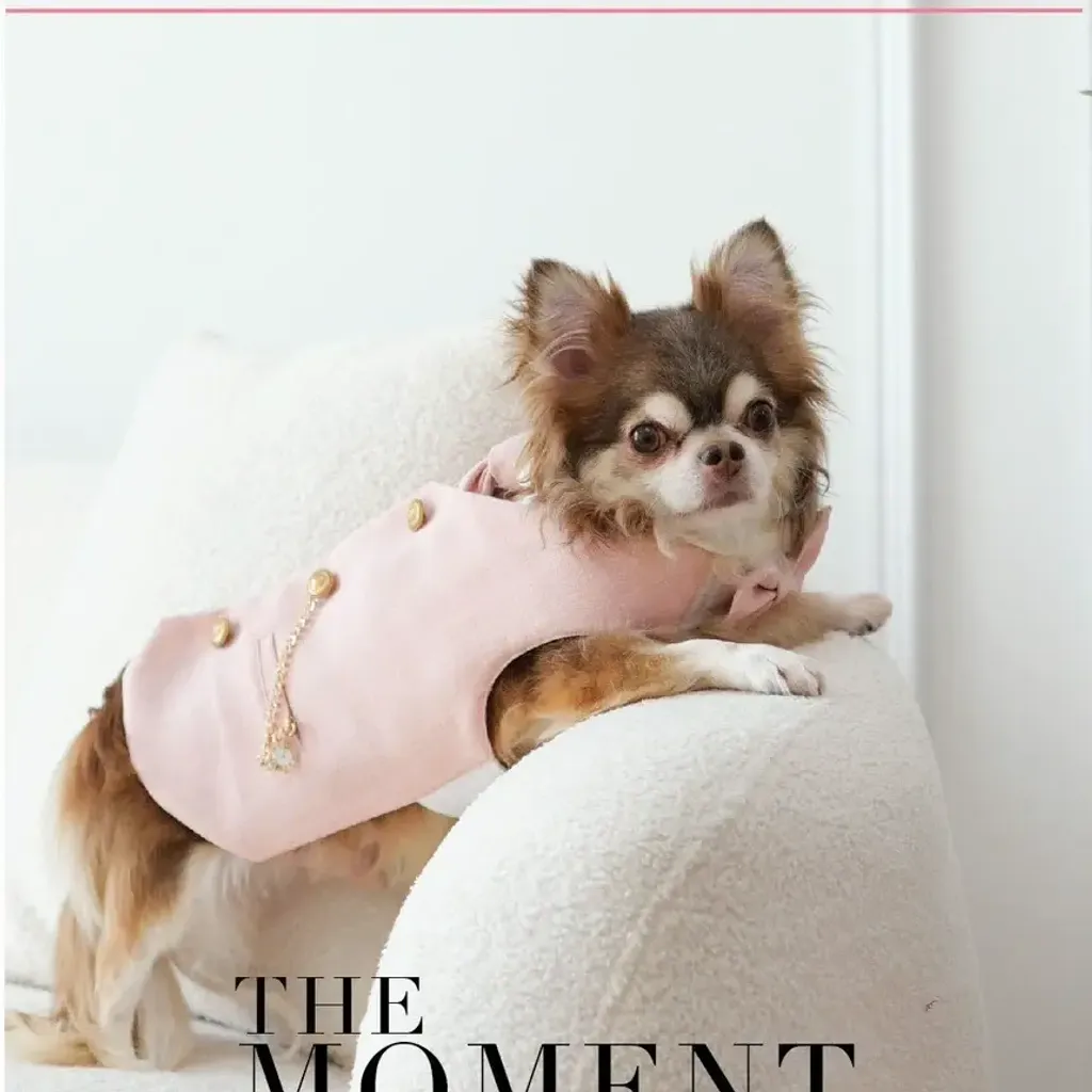 Rhodonite (Boy) (Harness) model