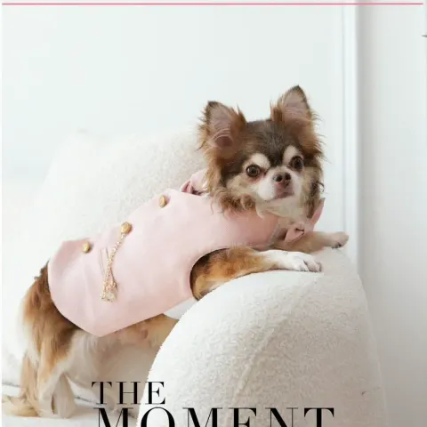 Rhodonite (Boy) (Harness) model