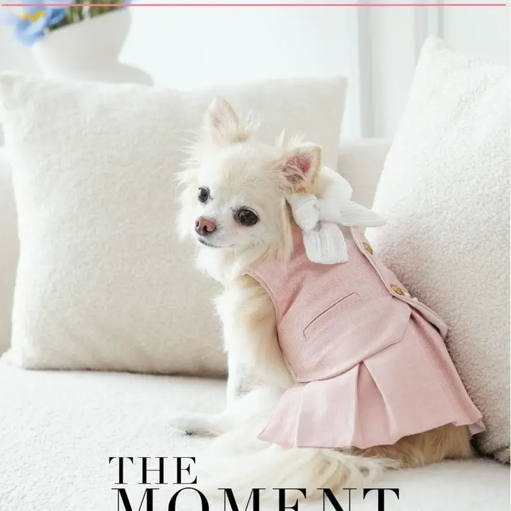 Rhodonite (Girl) (Harness) model