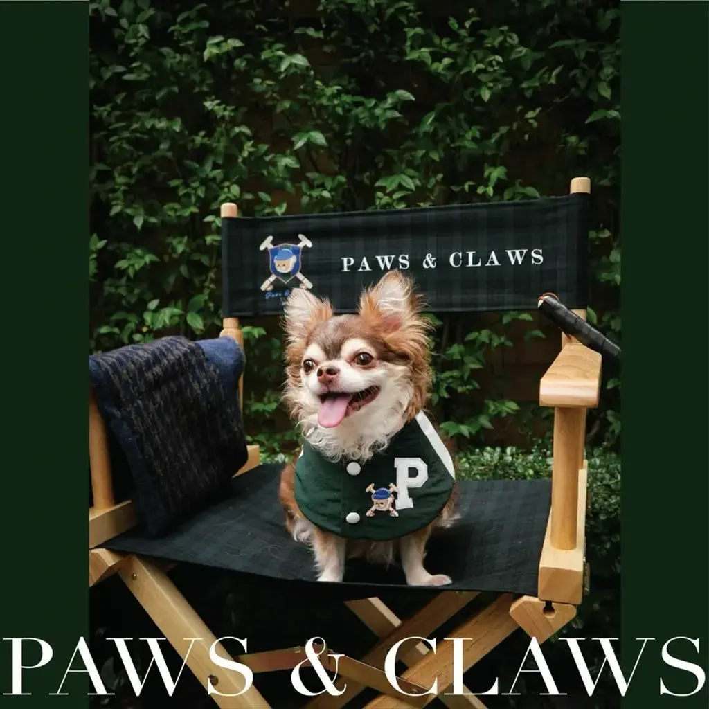 Ronald (poncho) model