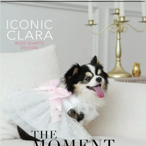 Rose Quartz (Harness) model