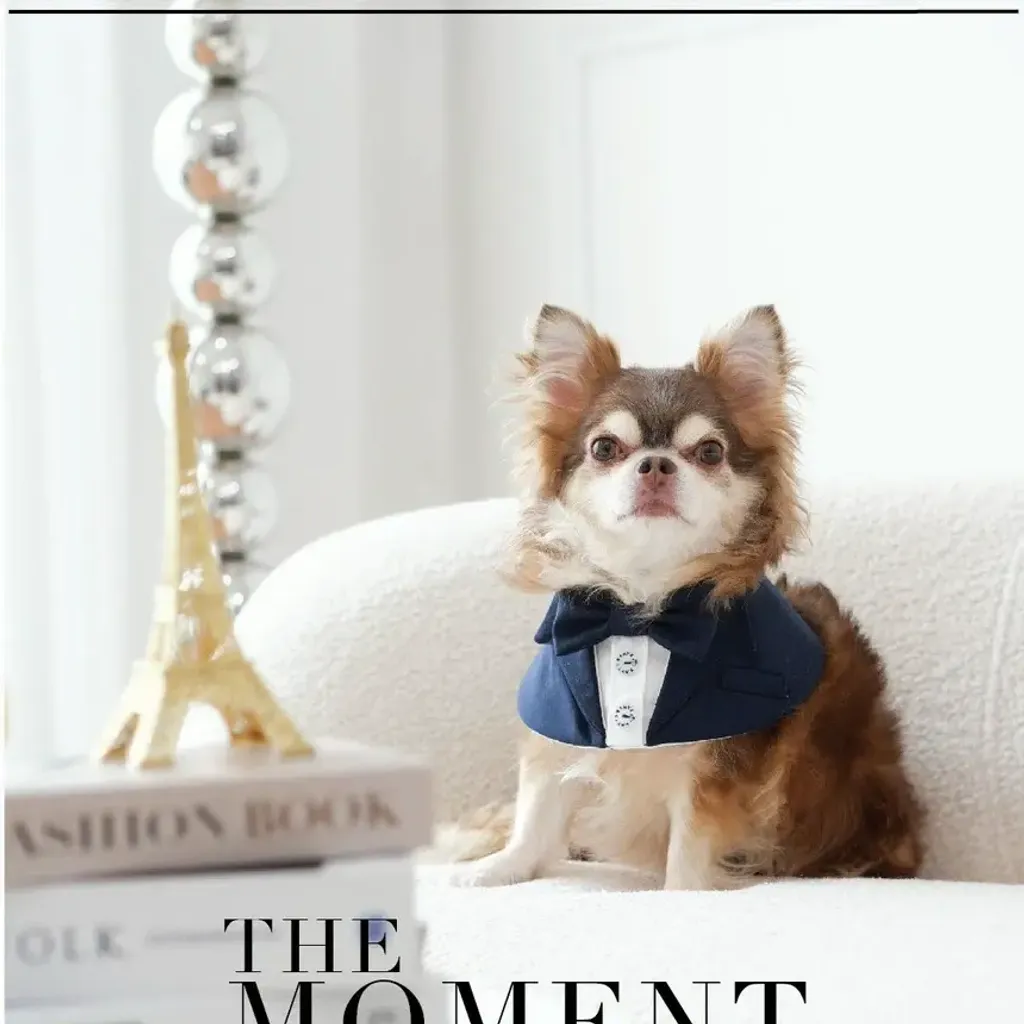 Sapphire (Poncho) model