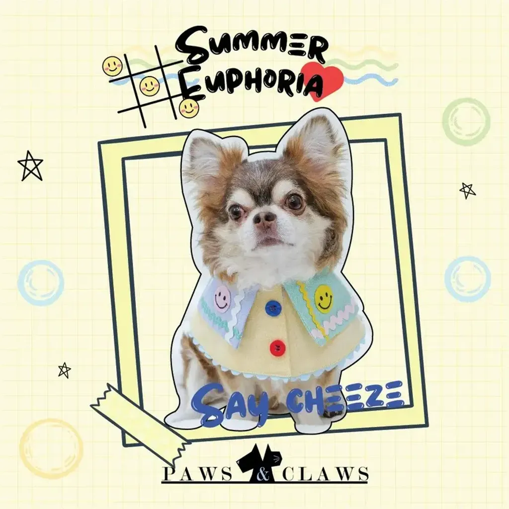 Say Cheeze (Boy) (Poncho) mode;