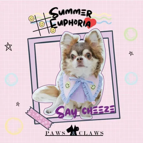 Say Cheeze (Girl) (Poncho) model