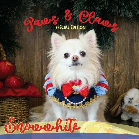 Snow White (poncho) model