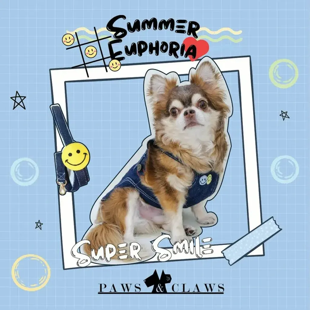 Super Smile (Boy) model