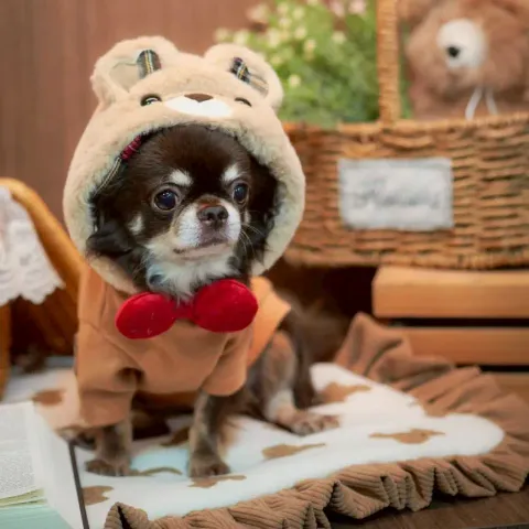 Theodore (Hoodie) model