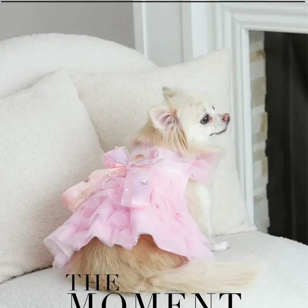 Tourmaline (Harness) model