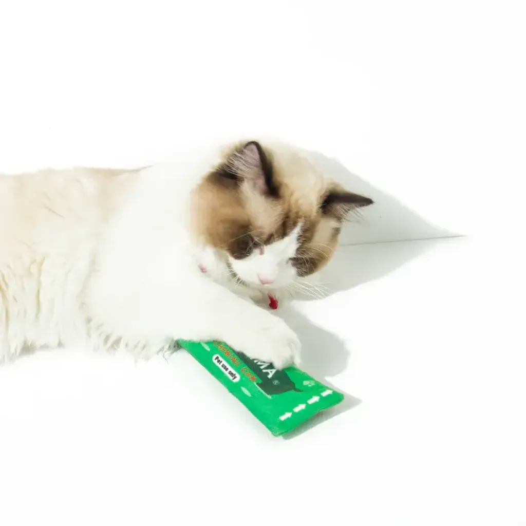 Kashima Chewing Gum Shaped Pet Toy with Catnips 3