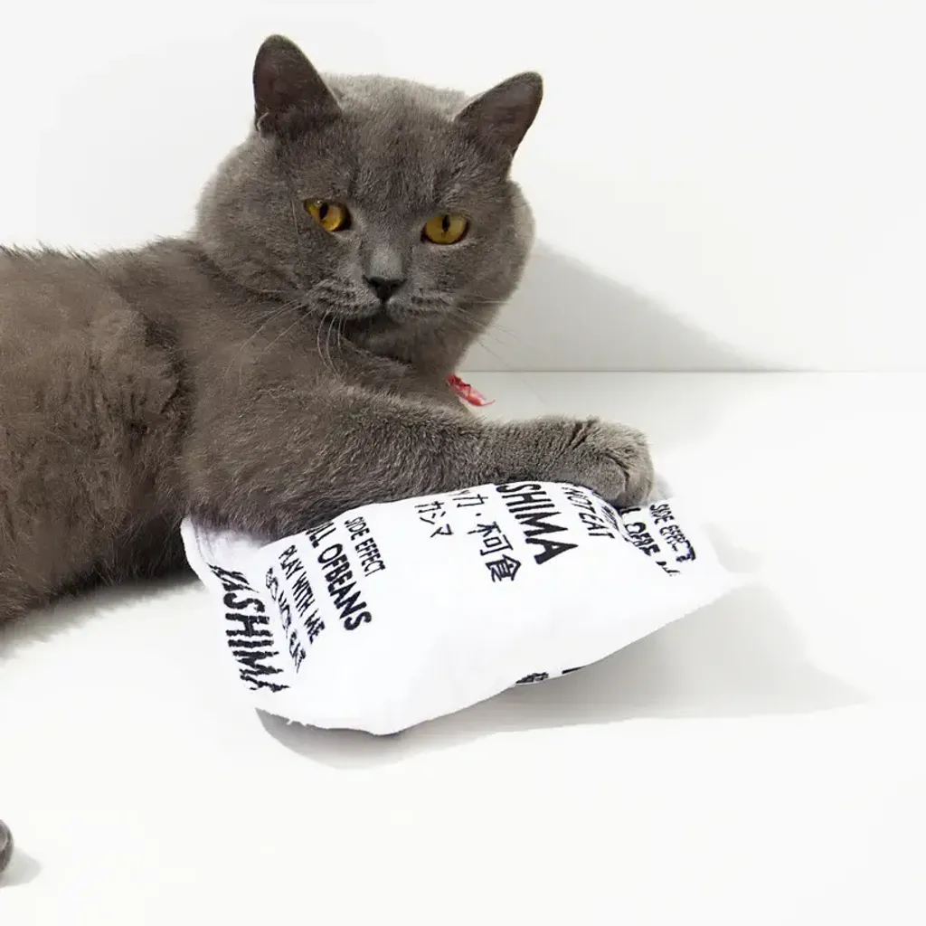 Kashima Desiccant Shaped Pet Toy 3