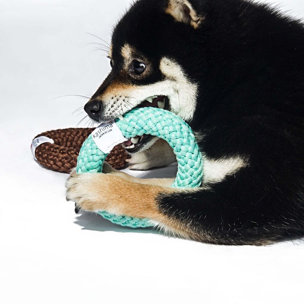 Kashima Donut Shaped Pet Chew Toy 3