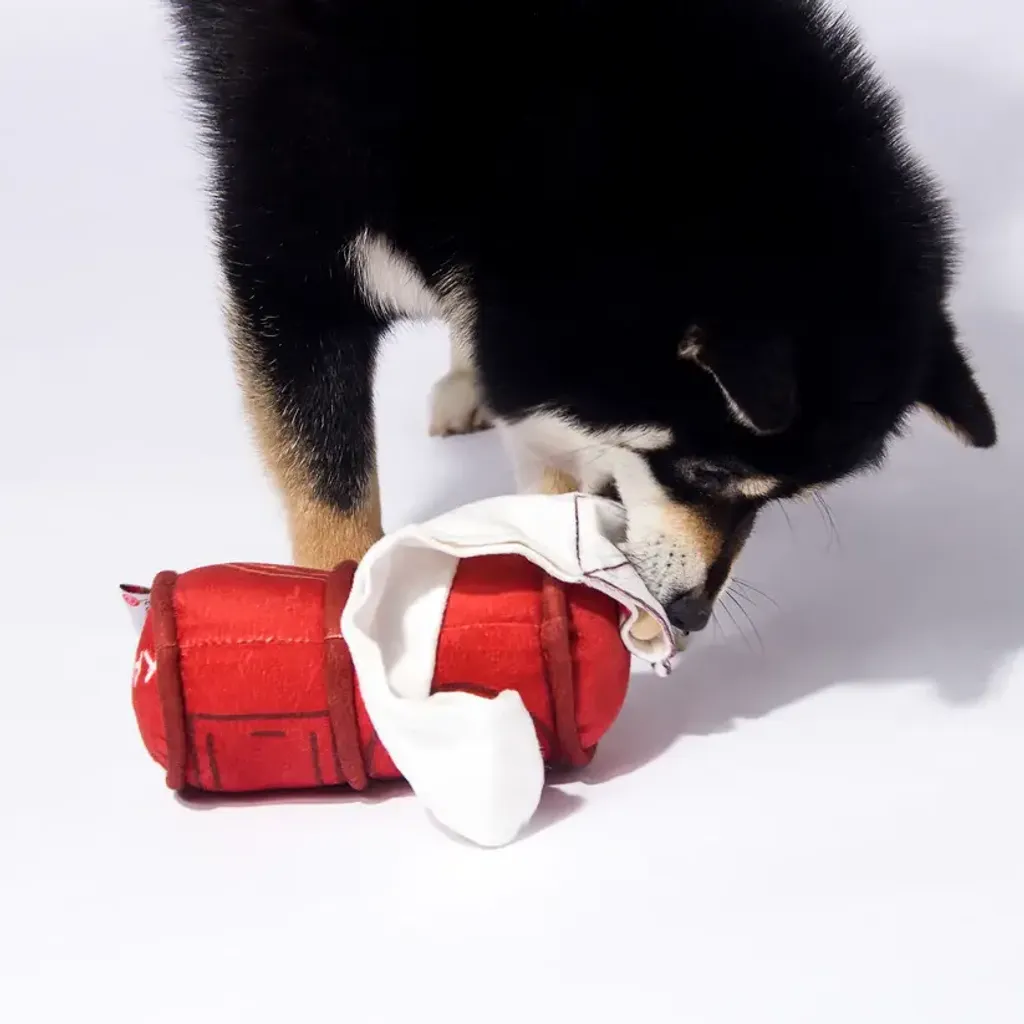 Kashima Mailbox Shaped Pet Toy 3