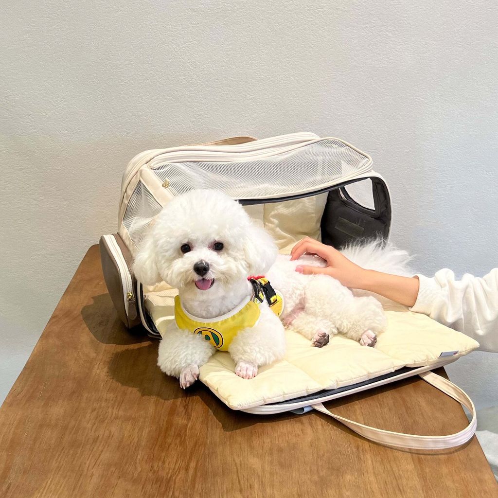 Kashima Pet Carrier 2