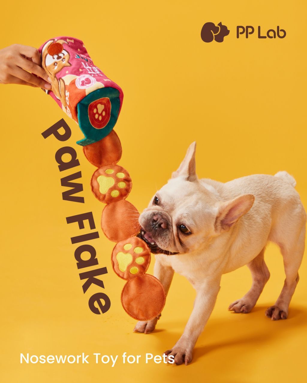 WhatsApp Image 2025-07-31 at 21.02.45