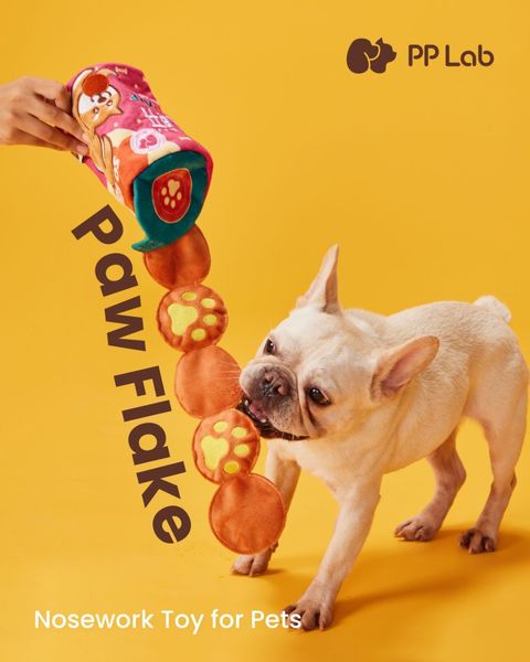 WhatsApp Image 2025-07-31 at 21.02.45