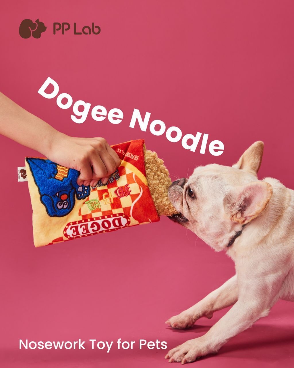 WhatsApp Image 2025-07-31 at 21.02.46