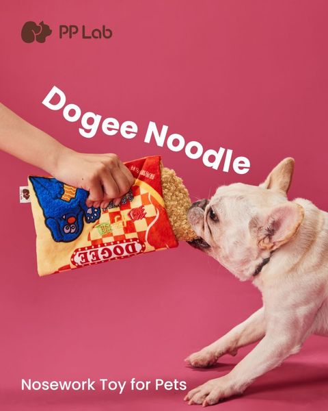 WhatsApp Image 2025-07-31 at 21.02.46