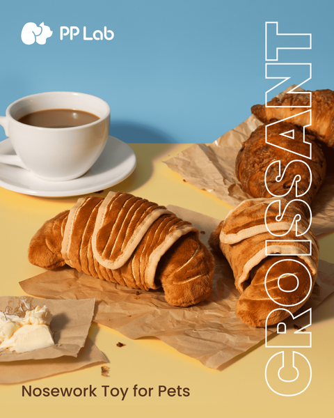 FinalVersion-可颂-1