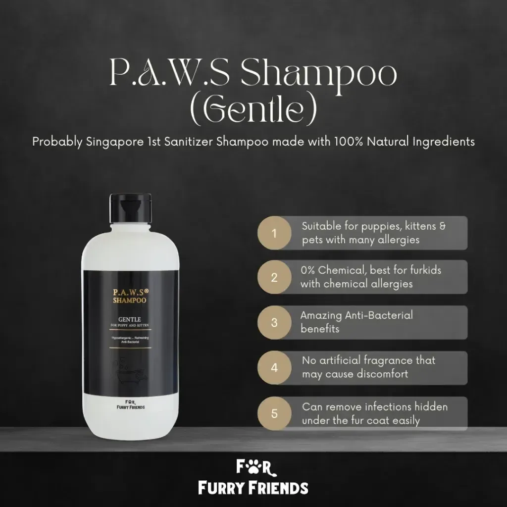 FFF P.A.W.S Shampoo gentle