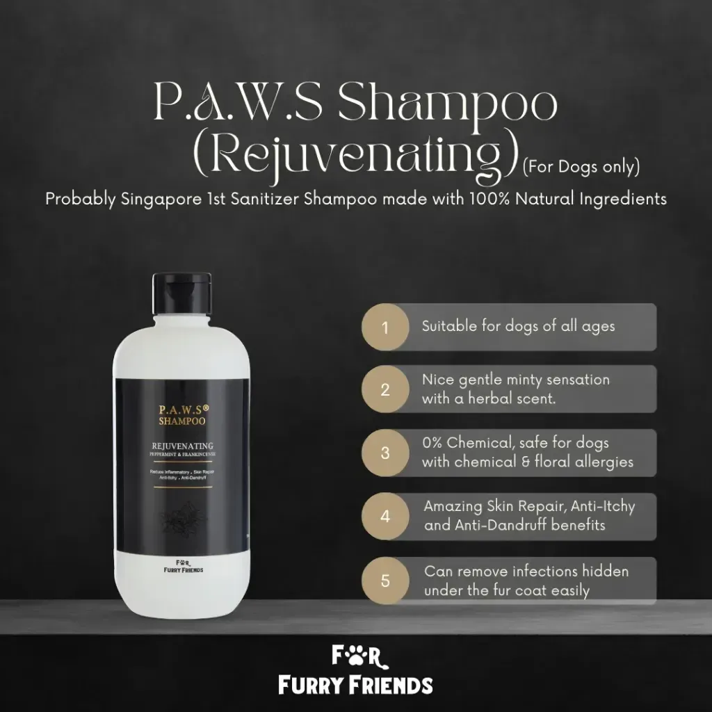 FFF P.A.W.S Shampoo reju