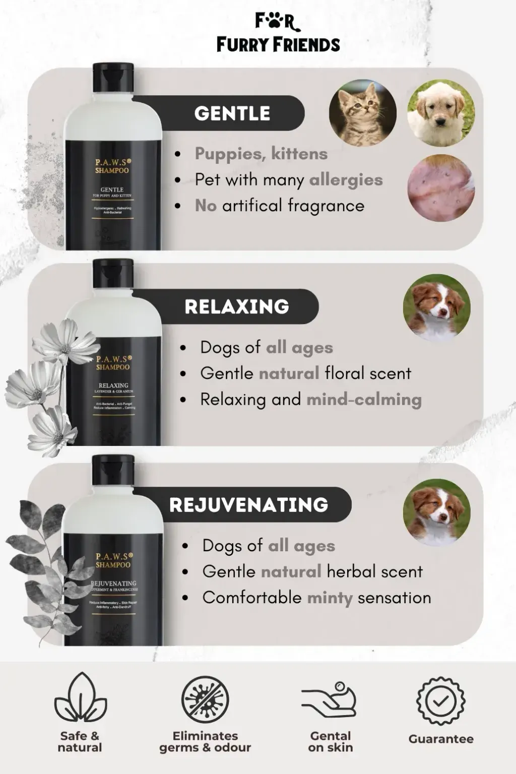 FFF P.A.W.S Shampoo 2