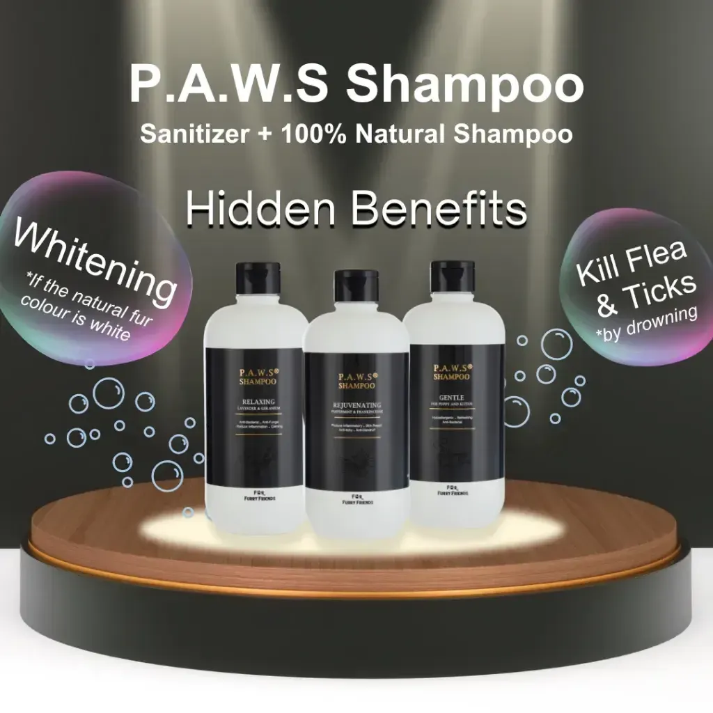 FFF P.A.W.S Shampoo 3